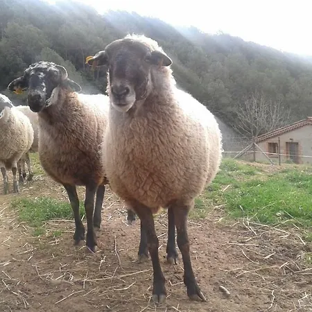 Parroquia Lägenhet *